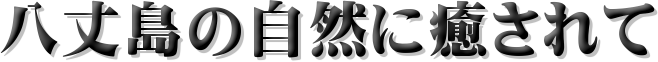 䓇̎Rɖ